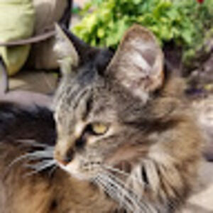 Meet your Posher, Sydney